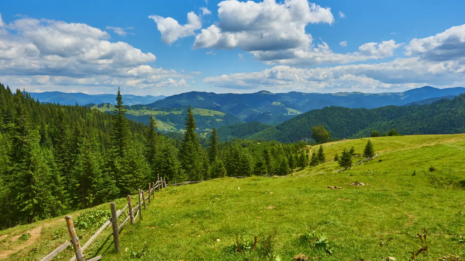 Fernblick über eine Wiese auf einen Wald und Gebirge